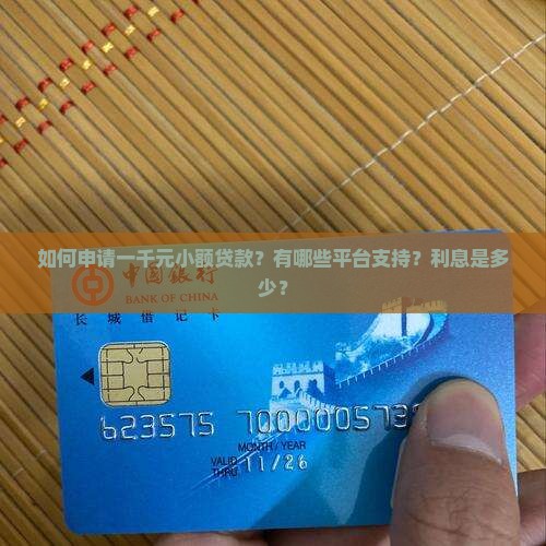一千元小额贷款有哪些