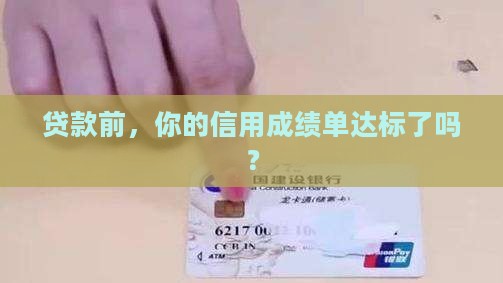 小额贷款放贷前查征信