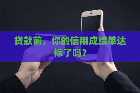 小额贷款放贷前查征信