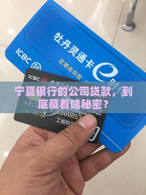 宁夏银行公司贷款有啥