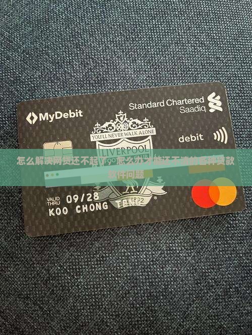 各种贷款软件还不起