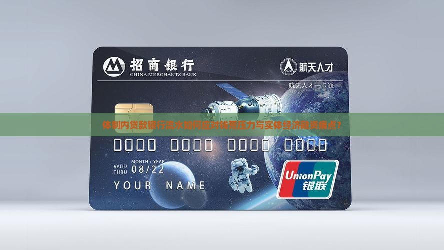 体制内贷款银行流水