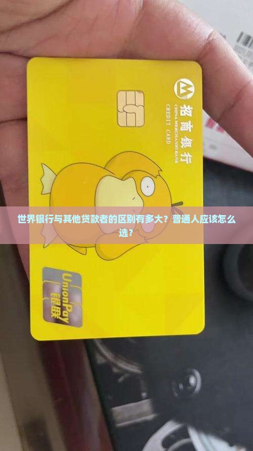 世界银行与其他贷款者