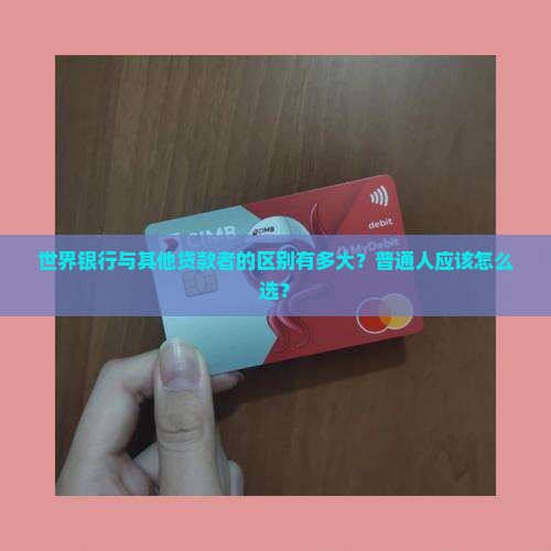 世界银行与其他贷款者