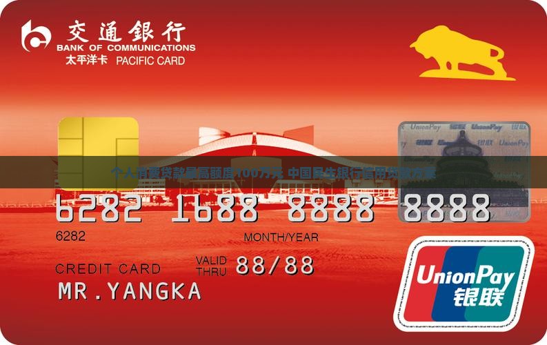 个人消费贷款100万元