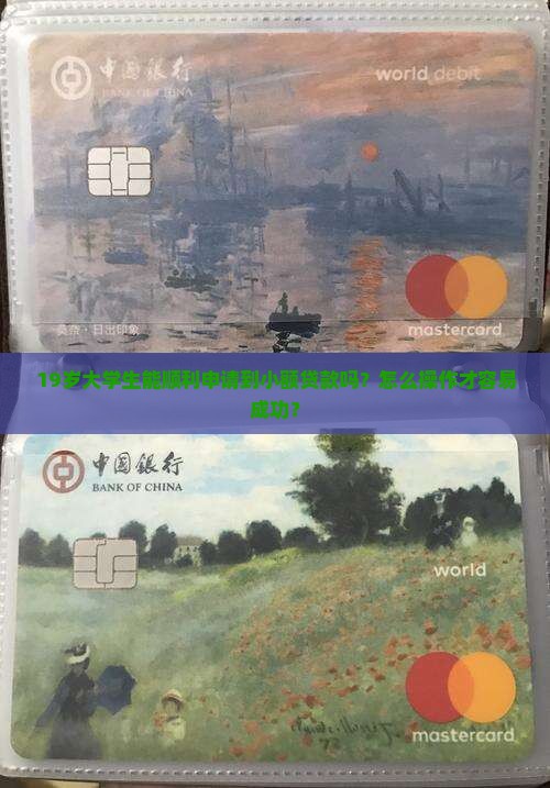 19周岁可以小额贷款嘛