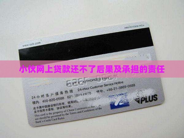 小伙网上贷款还不了后果