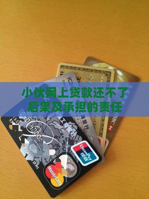 小伙网上贷款还不了后果