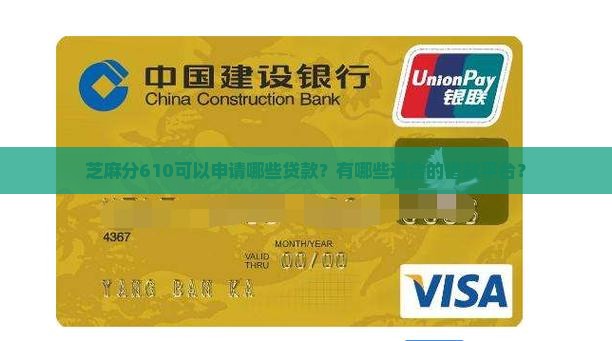 芝麻分610有什么贷款