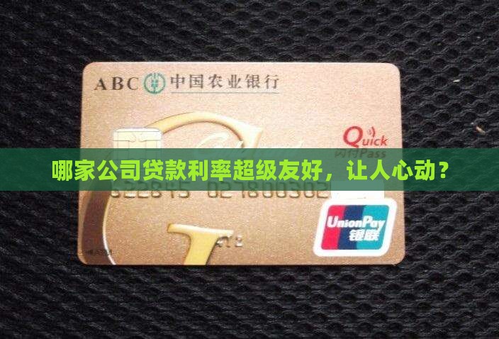 什么公司好贷款利率低