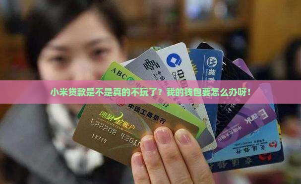 小米贷款所有都关闭了吗