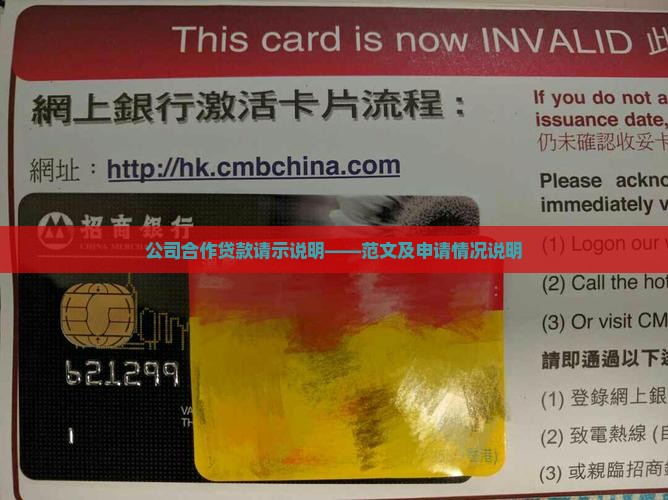 公司合作贷款请示说明