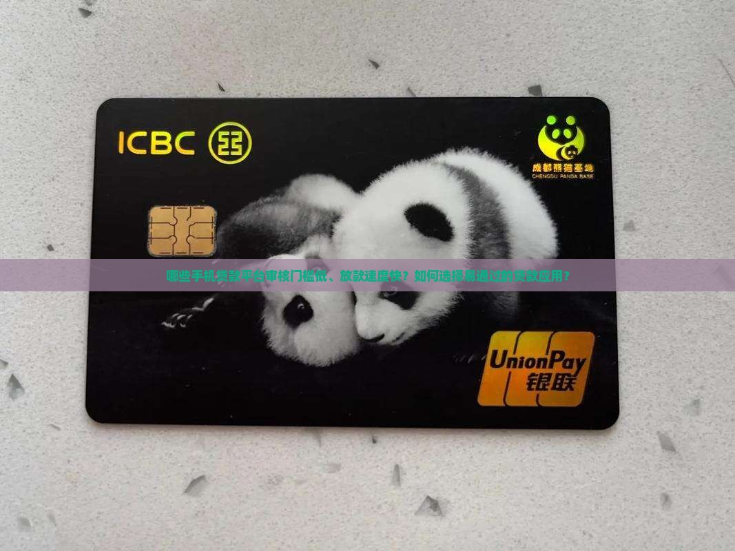 哪个手机贷款易通过审核