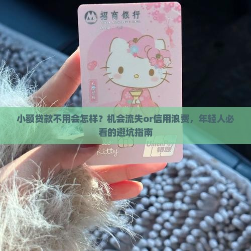 小额贷款不用会怎样