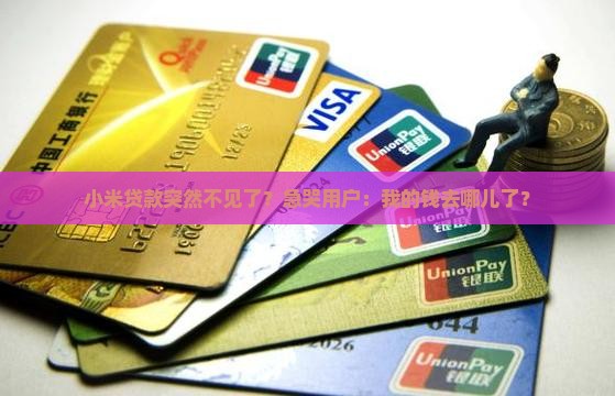 小米贷款怎么都没了