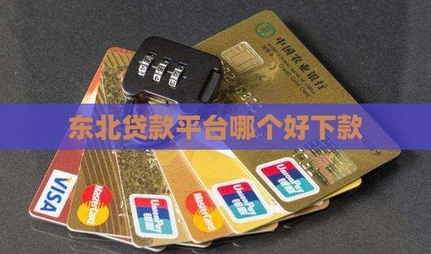 东北贷款平台哪个好下款