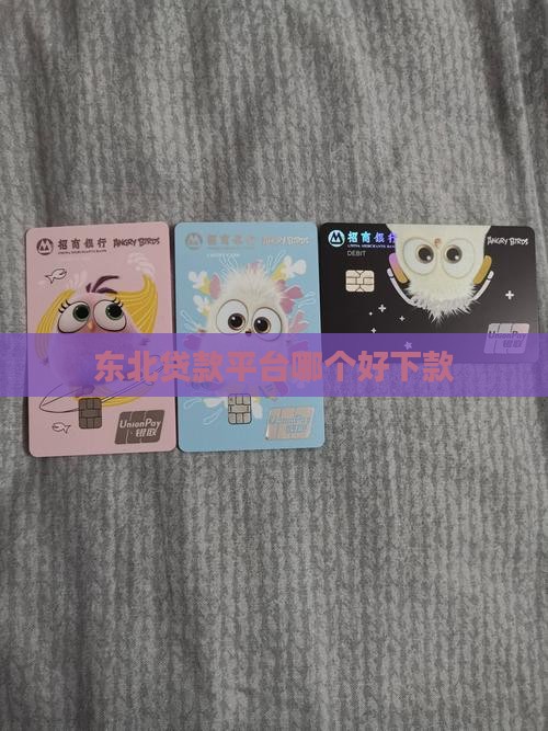 东北贷款平台哪个好下款