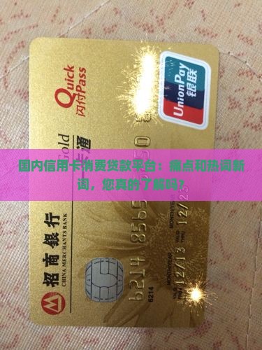 国内信用卡消费贷款平台
