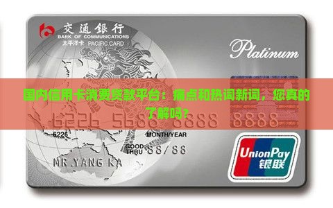 国内信用卡消费贷款平台
