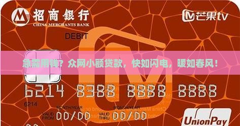 众网小额贷款