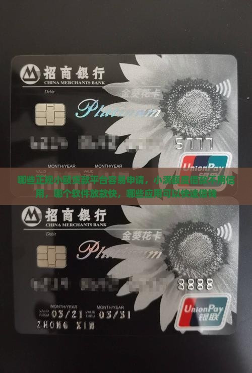 哪些应用可以小额贷款
