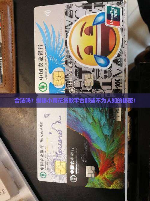 小雨花贷款平台合法吗吗