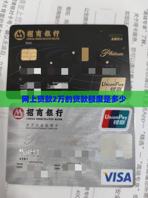 网上贷款2万可以贷多少
