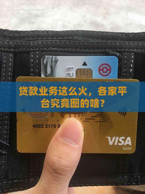 为啥所有平台都做贷款