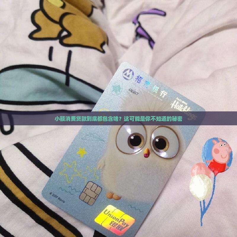 小额消费贷款包括哪些