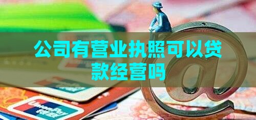 公司能贷款经营吗