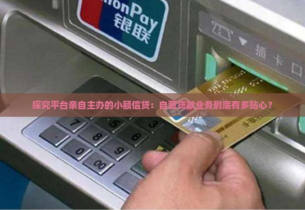 什么叫平台自营贷款业务