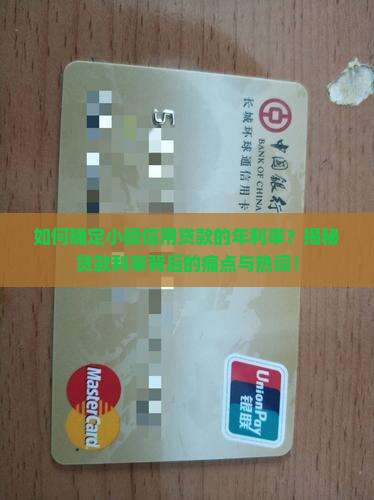 小额信用贷款年利率
