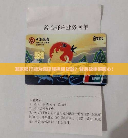 可以担保贷款的银行