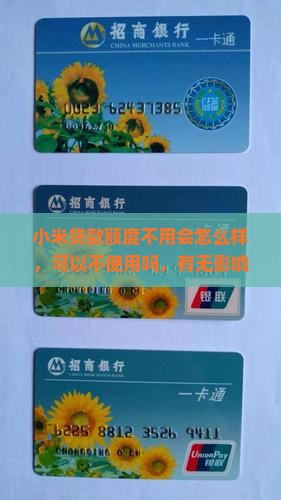 小米贷款额度不用