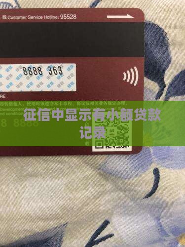 征信中有小额贷款