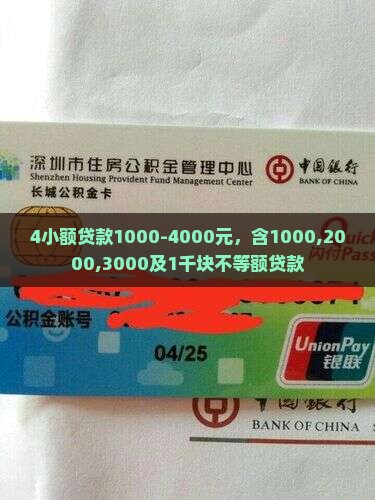4小额贷款1000