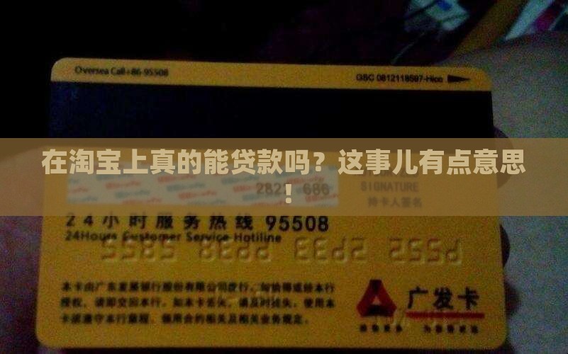 在淘宝平台里贷款吗 在淘宝平台里贷款吗