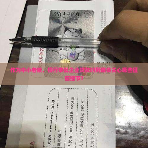 企业贷款征信会查什么