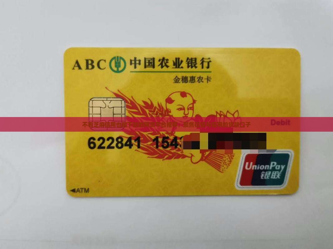 不看芝麻信用的贷款口子