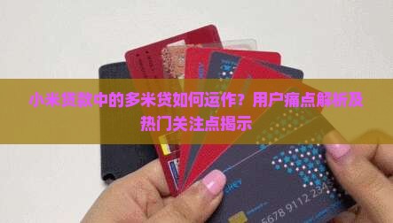 小米贷款里的多米贷