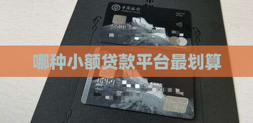 哪种算小额贷款最划算