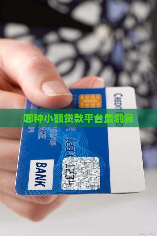 哪种算小额贷款最划算