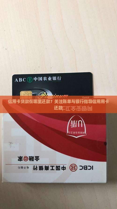 信用卡贷款从哪里还的啊