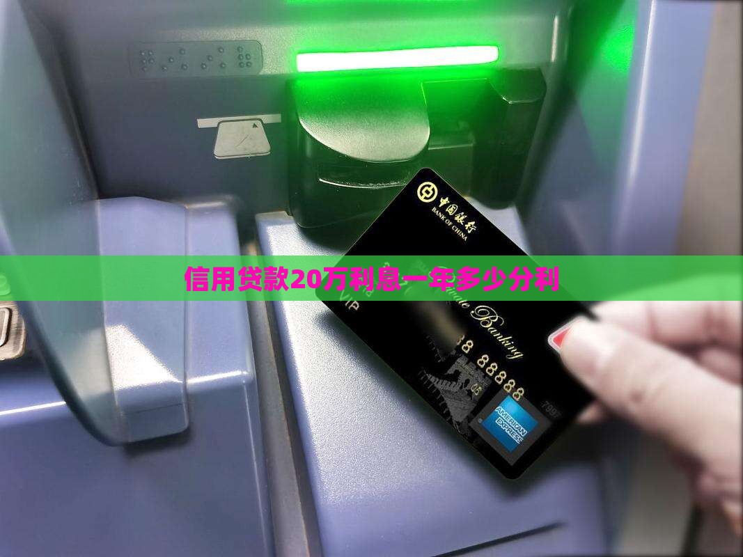 信用贷款20万1分利息