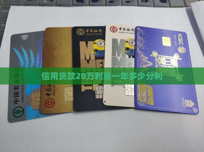 信用贷款20万1分利息
