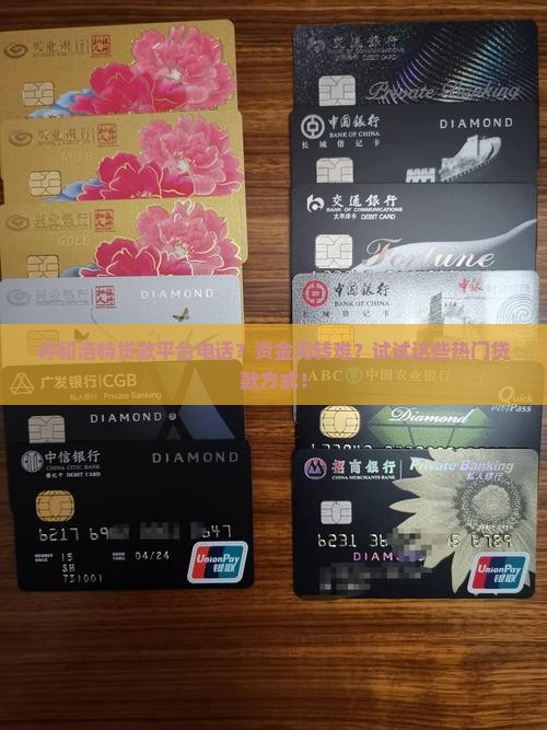 呼和浩特贷款平台电话