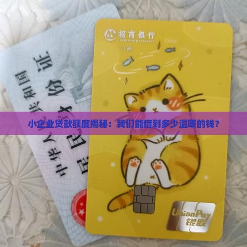小公司贷款可以贷款多少