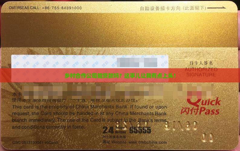 乡村合作公司可以贷款吗