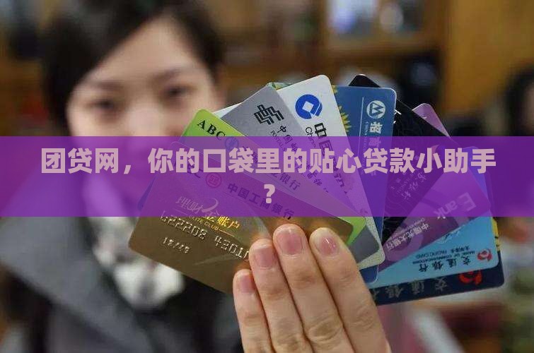 团贷网贷款品牌