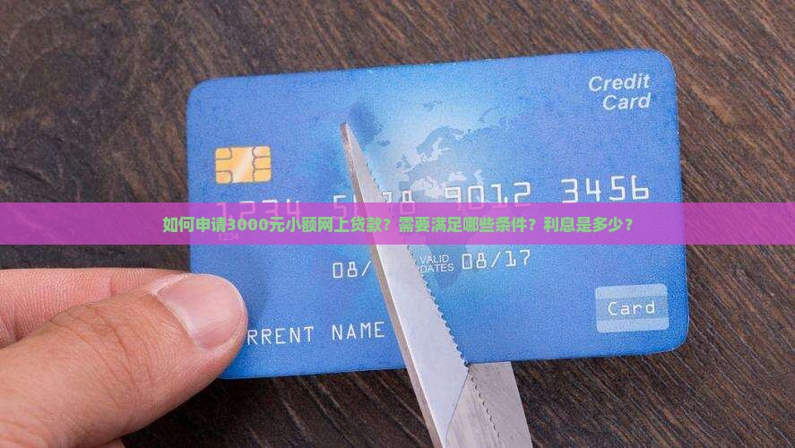 3000元小额网上贷款